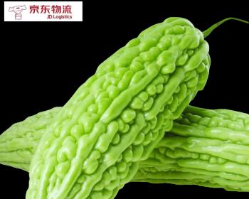 苦瓜的成熟季节和营养价值（全年三季度成熟，富含多种维生素和矿物质）