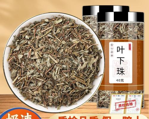 叶下珠草的神奇作用（发现叶下珠草的医疗价值）