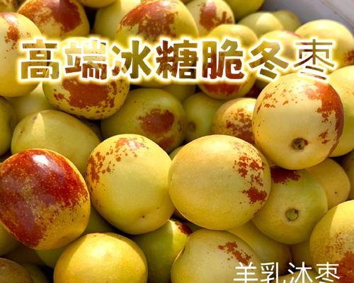 脆枣的成熟和上市时间（从生长到上市的全过程）