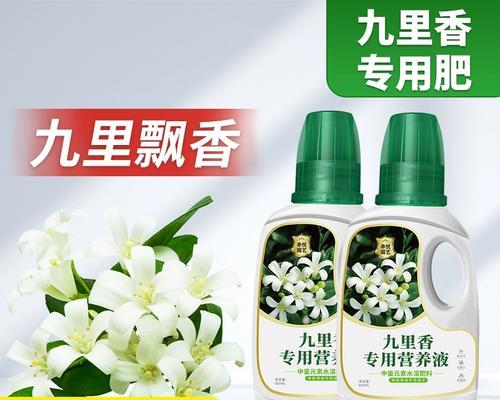 如何解决九里香黄叶问题？（掌握这些技巧，让你的九里香焕发生机）