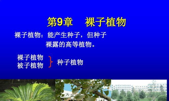 揭秘菜豆种子的植物分类（裸子植物中的菜豆？你真的了解吗？）
