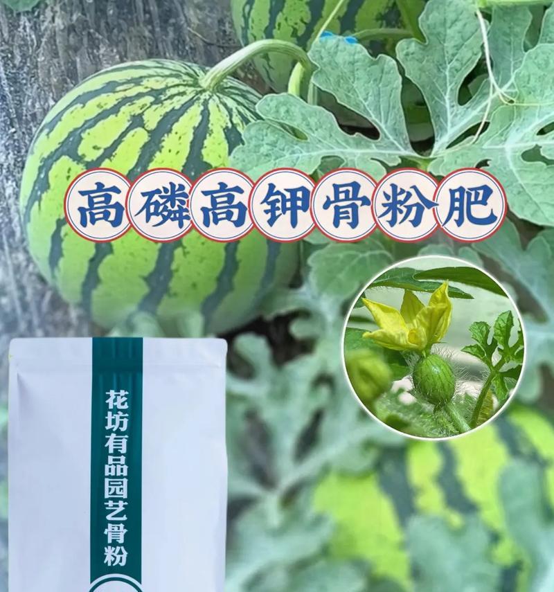 如何选择适合的磷肥浇灌花卉（以什么样的花卉为例？）