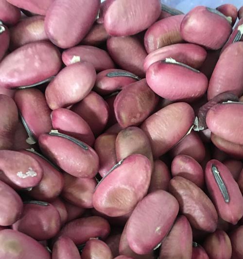 刀豆种子的营养和食用方法（丰富的营养价值和多种食用方式，让刀豆种子成为不可错过的美食）