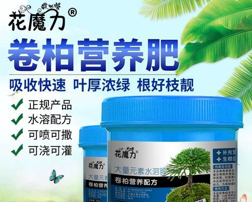 如何解决卷柏叶子发黄问题（卷柏叶子发黄怎么办？教你5个简单的方法）
