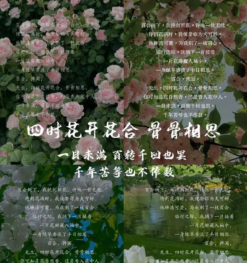 揭秘苦恋花语（从花中寻找相思之苦）