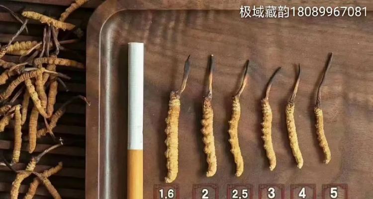 如何挑选好吃的冬虫夏草（以质为本，讲究方法，了解产品）