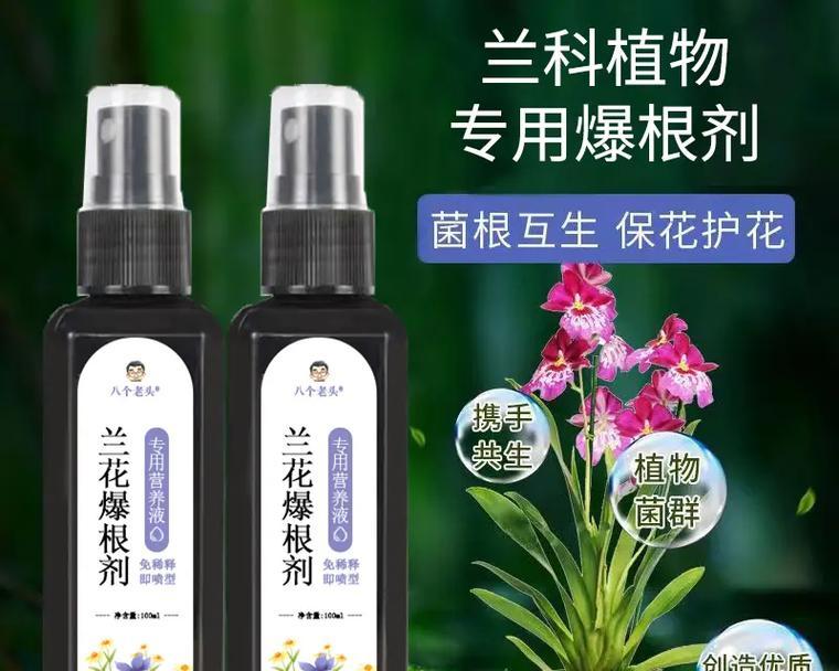如何解决兰花叶子发黄问题（兰花叶子发黄的原因及解决办法）