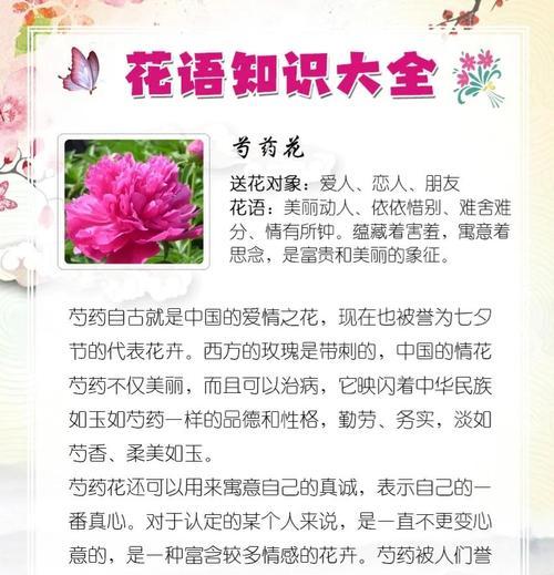 以勺药花的养殖技巧（掌握关键诀窍，培养出繁茂勺药花）