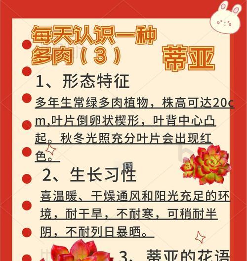 奥维利亚多肉的养殖指南（了解如何正确养护奥维利亚多肉，打造健康美丽的植物）