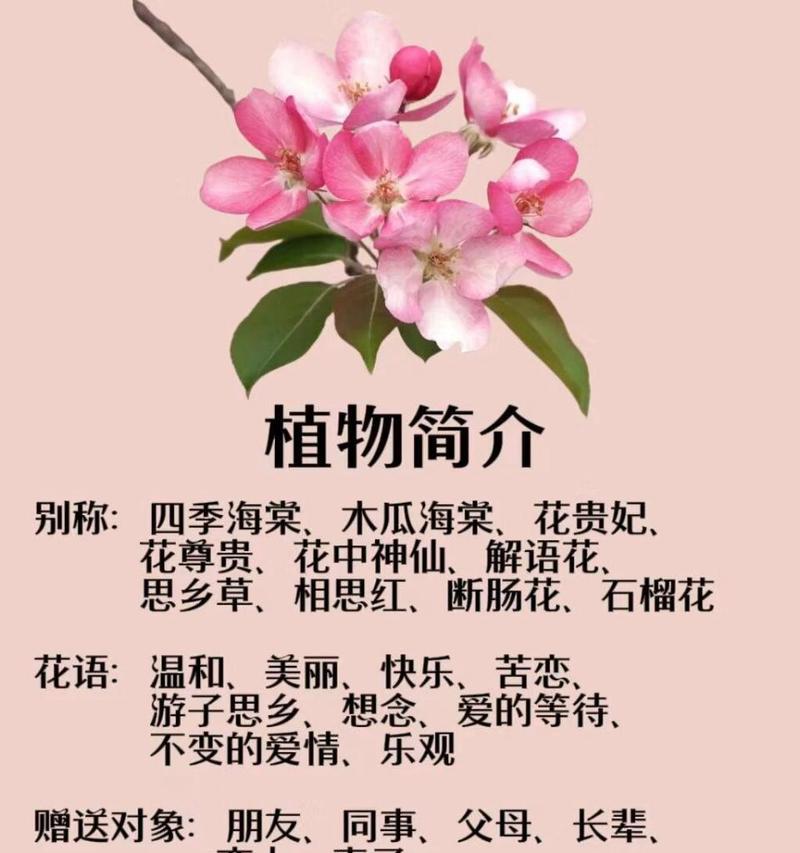 如何挽救蔫了的木瓜海棠花？（教你简单有效的护理技巧，让花重新焕发生机）