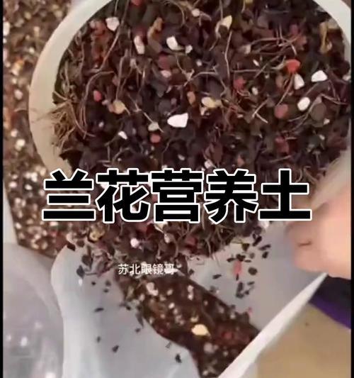 自制兰花营养土的方法（经济实惠、环保安全的兰花营养土制作方法）