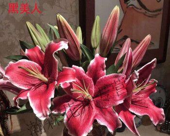 以水插百合花的正确处理方法（掌握正确的水插百合花技巧，让它们健康生长）