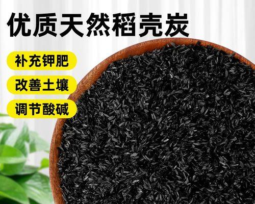 谷壳与兰花土的完美搭配（打造健康兰花的必备秘诀）