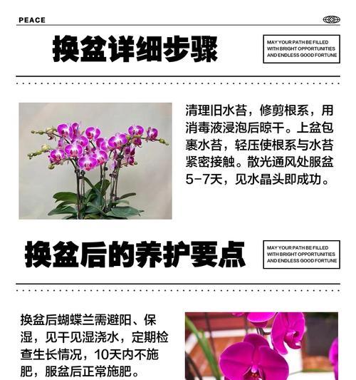 兰草换盆的最佳时间（掌握换盆时间，让兰草更健康）