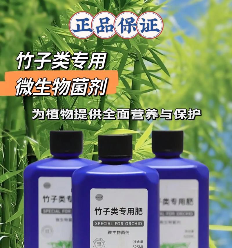 如何处理以水养竹子黄叶问题（解决竹子黄叶问题的有效方法）