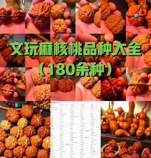 核桃种植时间选择（了解最佳种植时间，助您收获丰硕果实）