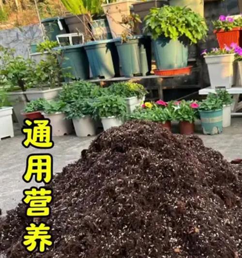 养花必备的土壤知识（如何合理调配土壤，使花草茁壮生长）