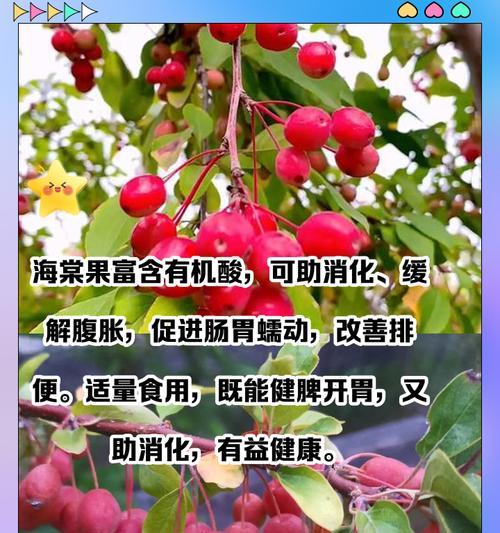以海棠果种子怎么种（海棠果种子种植方法及技巧）