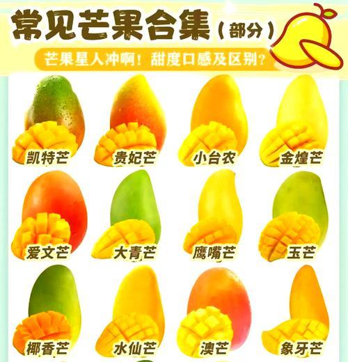 芒果的生长环境与分布地区（探索芒果的生态特性及适宜种植条件）