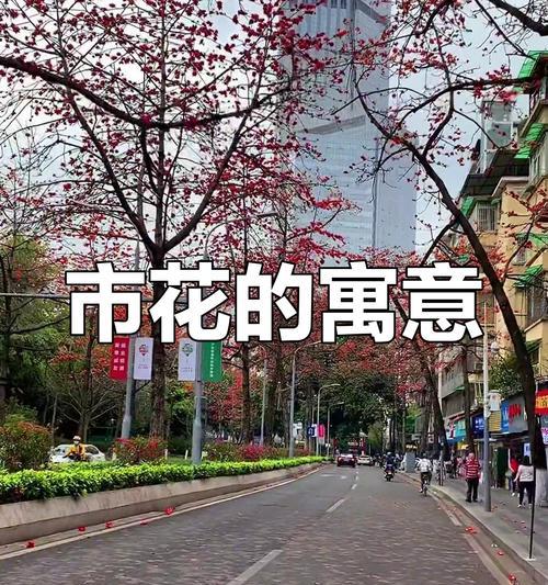 广元市花（探寻广元市花的意义和历史）