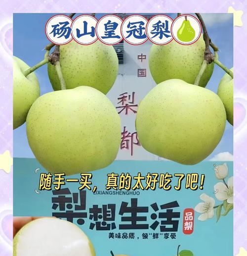 皇冠梨采摘与上市时间（几月份成熟？什么时间能买到新鲜皇冠梨？）