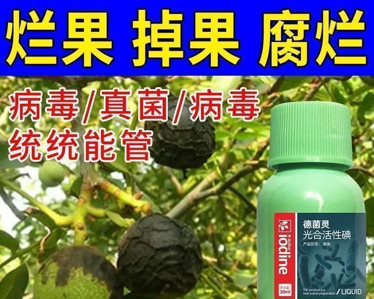 核桃病虫害防治技术与方法措施（打造健康核桃产业链，）
