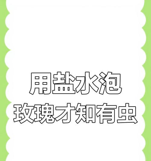 玫瑰花受害小虫处理指南（教你如何有效防治玫瑰花上的小虫害）