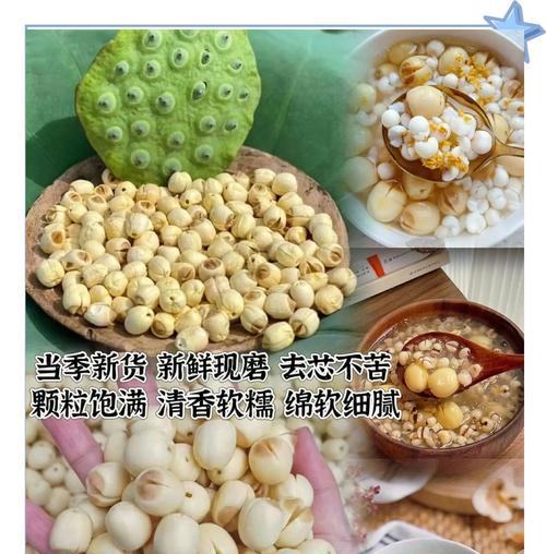 莲子采摘季节详解（了解莲子成熟期，助你轻松享受美味）