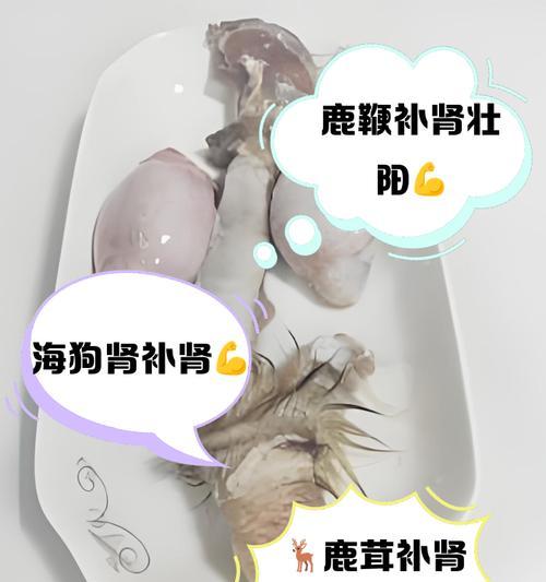 铁马鞭养生指南（掌握铁马鞭的养生方法，让身体更加健康）