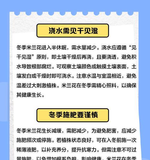 品味米兰花的独特风味（探索米兰花的多种食用方式）