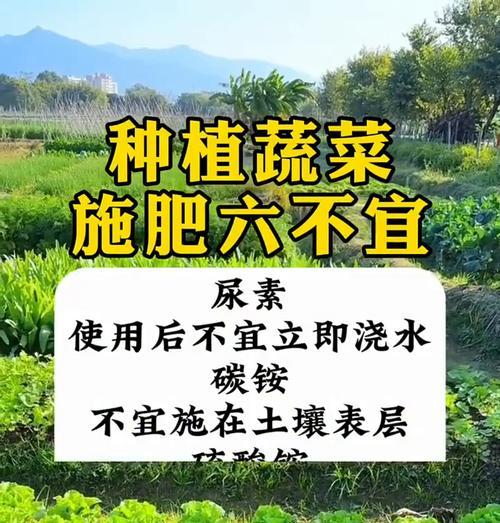 如何科学追肥，健康瘦身（掌握正确方法，告别囤积脂肪）