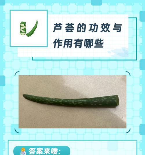 芦荟爆侧芽方法与处理（用科学的方式促进芦荟生长）