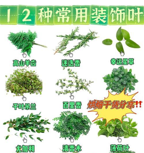 叶子褶皱（探索叶子褶皱的奥秘与魅力）