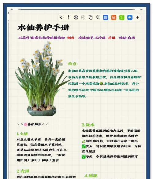 草本水芙蓉花的养殖方法与注意事项（打造美丽花园的秘密武器——草本水芙蓉花）