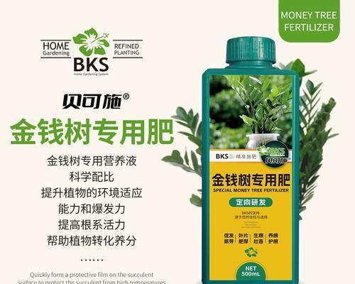 发财树水培黄叶怎么办？教你恢复绿叶如新！