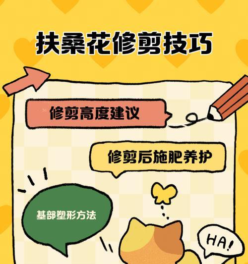 扶桑花掉花怎么办？（解决扶桑花掉花问题的有效方法）