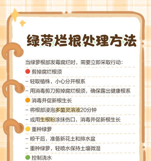 以水养植物根部变绿的有效方法（让植物根部绿意盎然的秘诀揭秘）