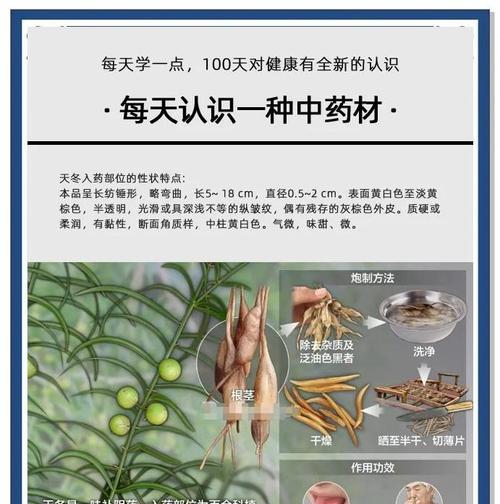 天门冬花叶子黄的原因及处理方法（探究天门冬花叶子黄的因素和解决方案）