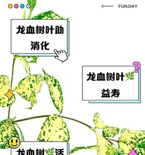 龙铁叶子卷的神奇之处（探寻龙铁叶子卷的独特魅力）