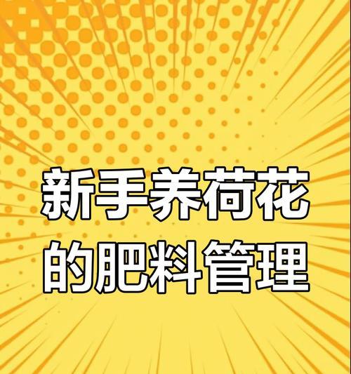 如何合理施肥让荷花水波荡漾（荷花施肥指南，让你的荷塘更美丽）