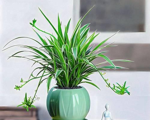 露根吊兰（打破传统，创造独特之美）