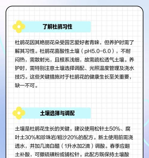 以杜鹃柱种植方法和注意事项（打造美丽园林的关键——杜鹃柱种植技巧）