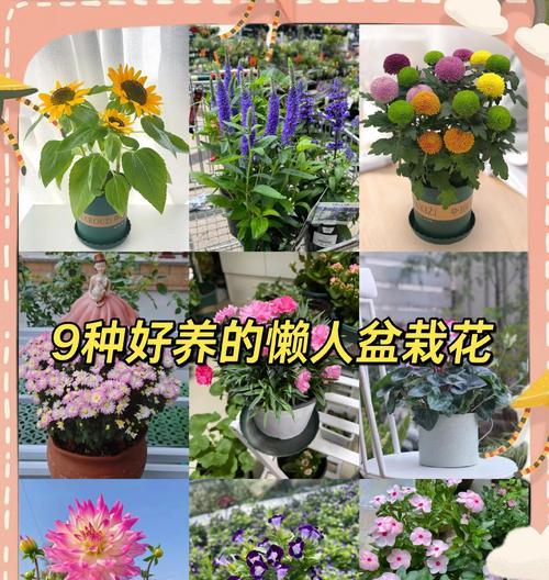 鲜花盆栽之方法与技巧（培养绿手变绿拇指的关键是什么）