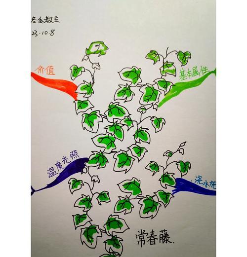 以水培为方法繁殖常春藤（简单易行的常春藤繁殖技巧）