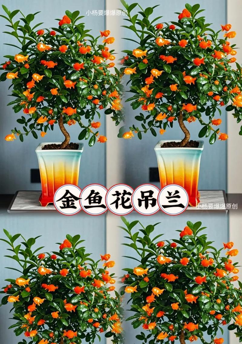 吊兰在鱼缸中养水草的实用技巧（鱼缸中以吊兰养水草，打造别样的水族世界）