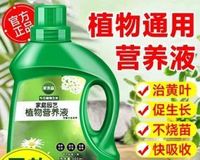 发财鸟养殖的方法与技巧（掌握关键因素，打造成功养殖场）