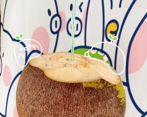 幸福椰子养殖方法与技巧（打造丰产高质的幸福椰子树）