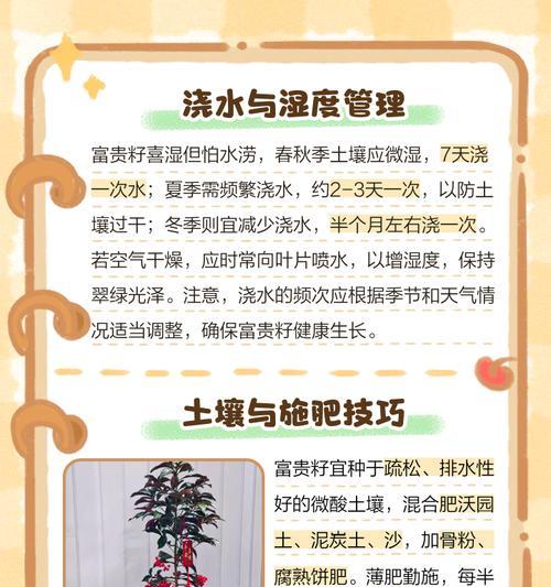 富贵子养殖方法大揭秘（种植、繁殖与照料，从零开始轻松养殖富贵子）