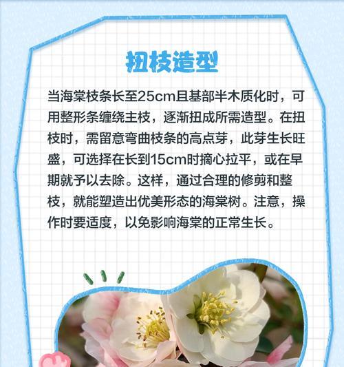 海棠盆景的养护与修剪(打造优雅盆景修剪关键要点)